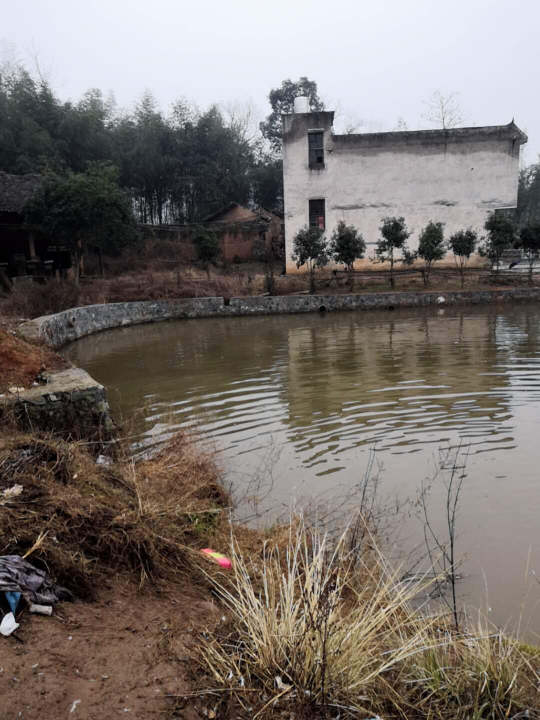 关于新宁县回龙镇村里修鱼塘费用的咨询