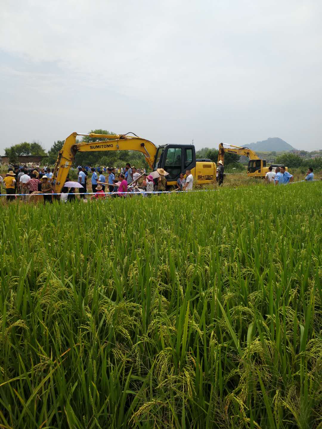 安仁县安平镇旱半村违建污水处理厂