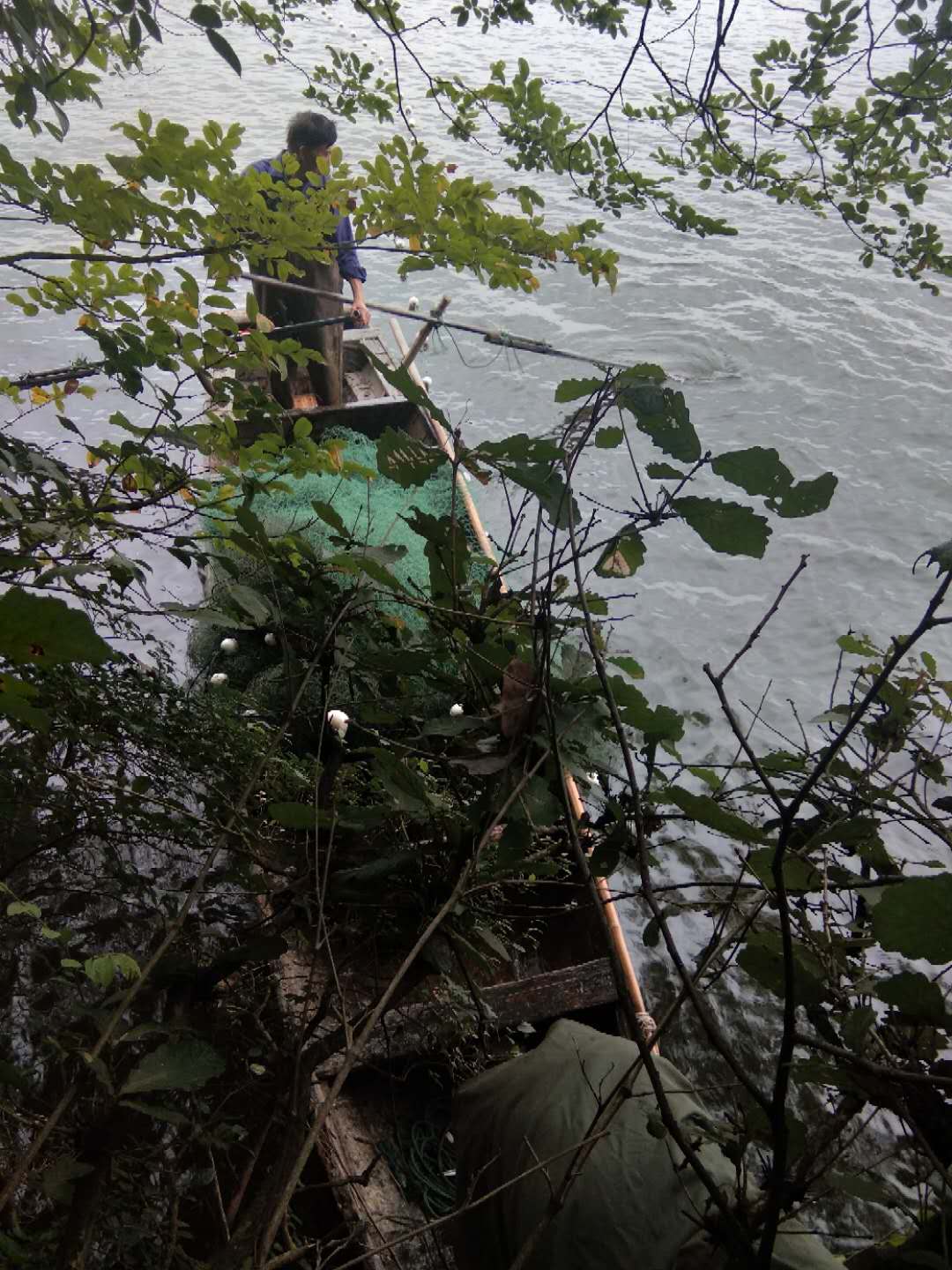 浏阳市沙市镇赤马湖水污染严重