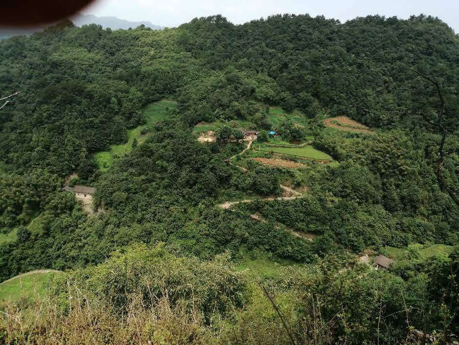 石门县三圣乡樱桃村道路被冲毁,至今无人修复