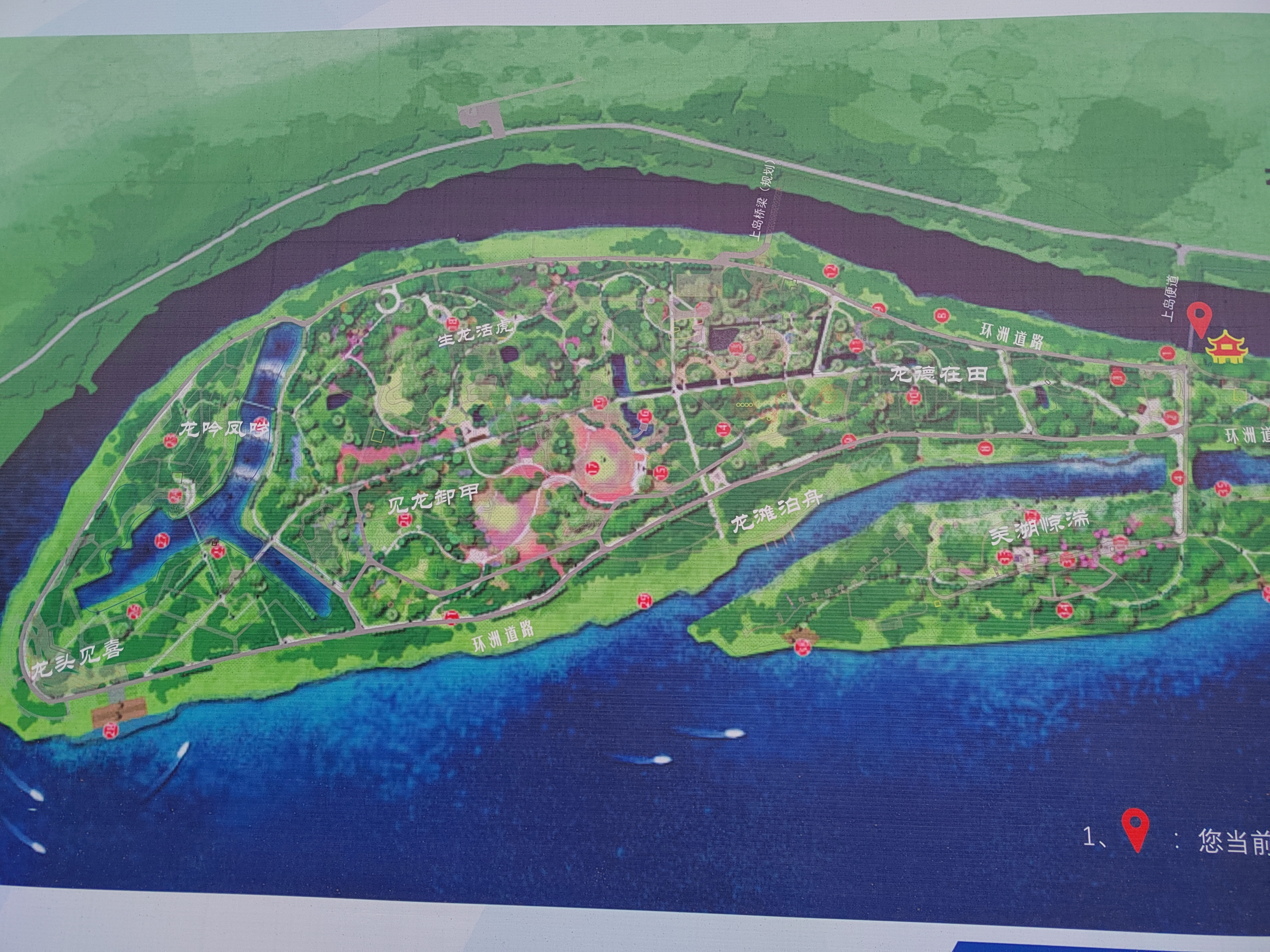 关于在资阳区青龙洲公园修建一条健身步道的建议