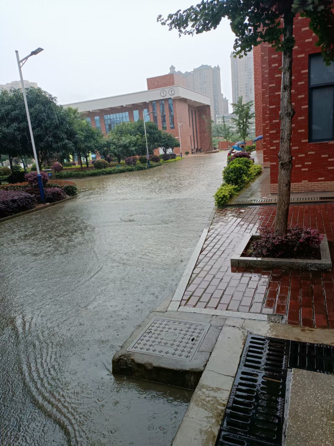 珠晖区苗圃小学新校区图片