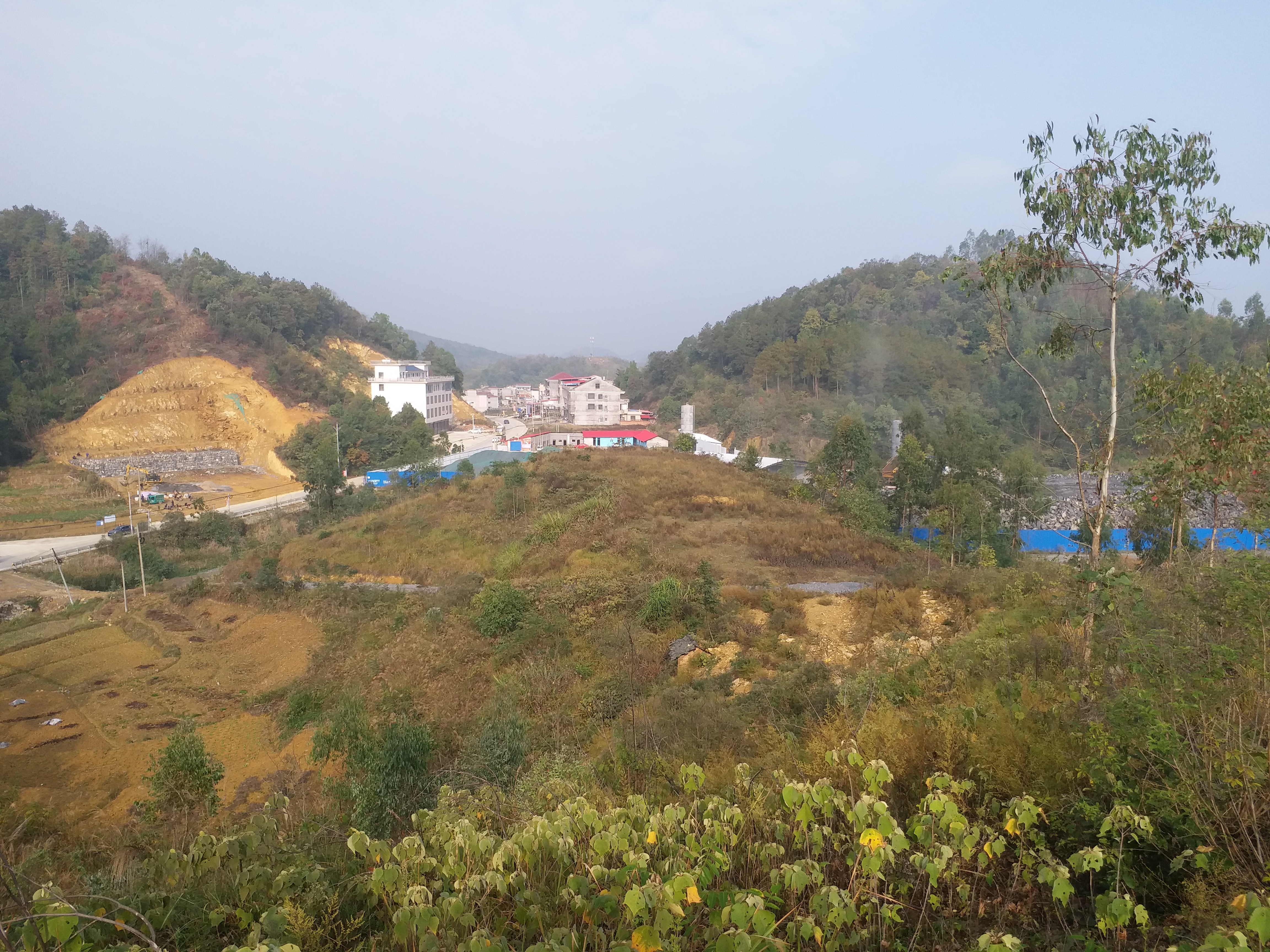 请求保护洞口县石江镇青龙路口耕地和山林,改善居住环境