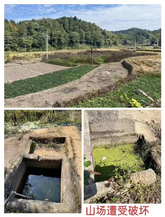 洞口县高沙镇温塘村土地权属纠纷处理不妥