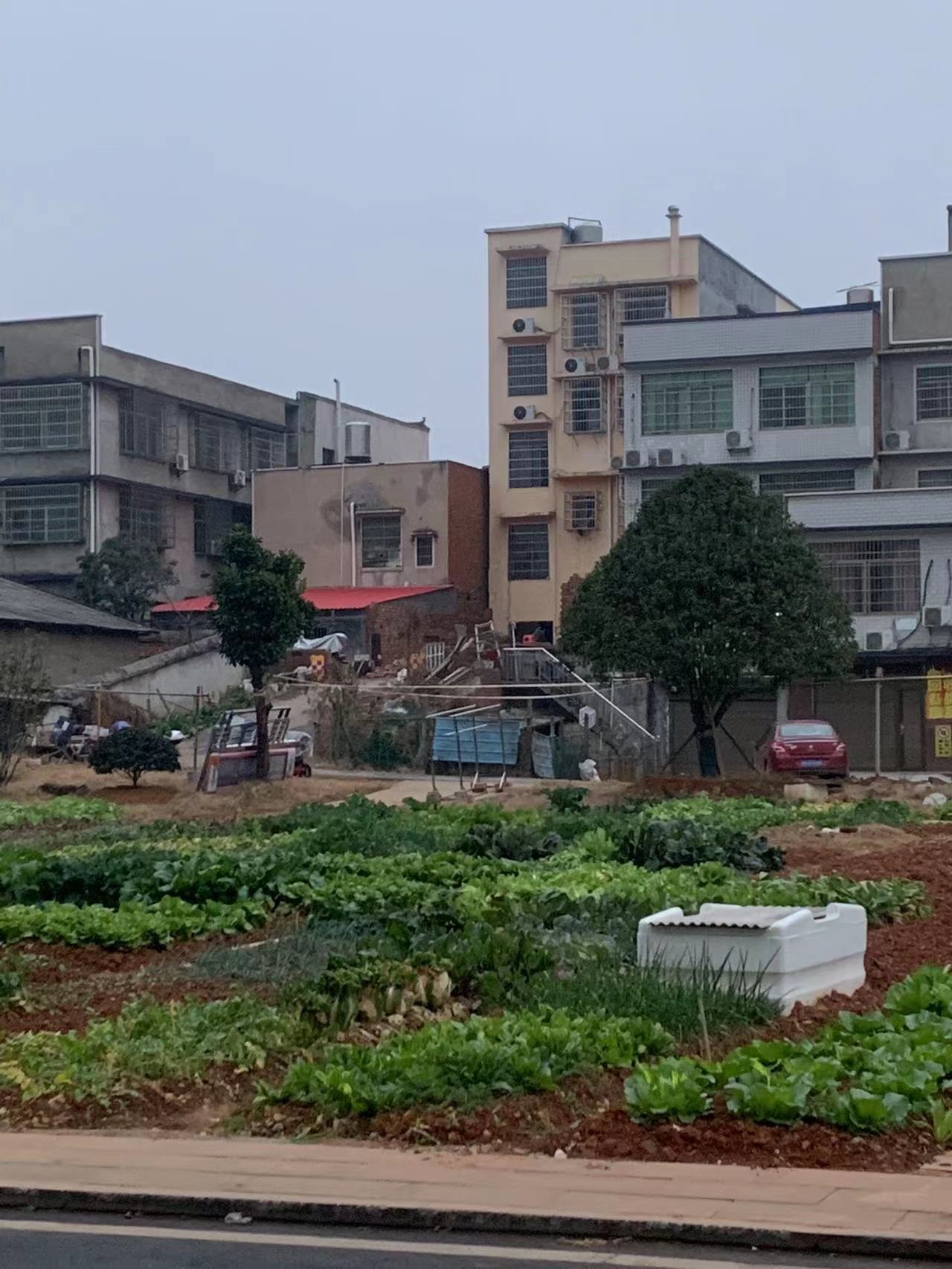 请望城区大泽湖街道回复我几个问题