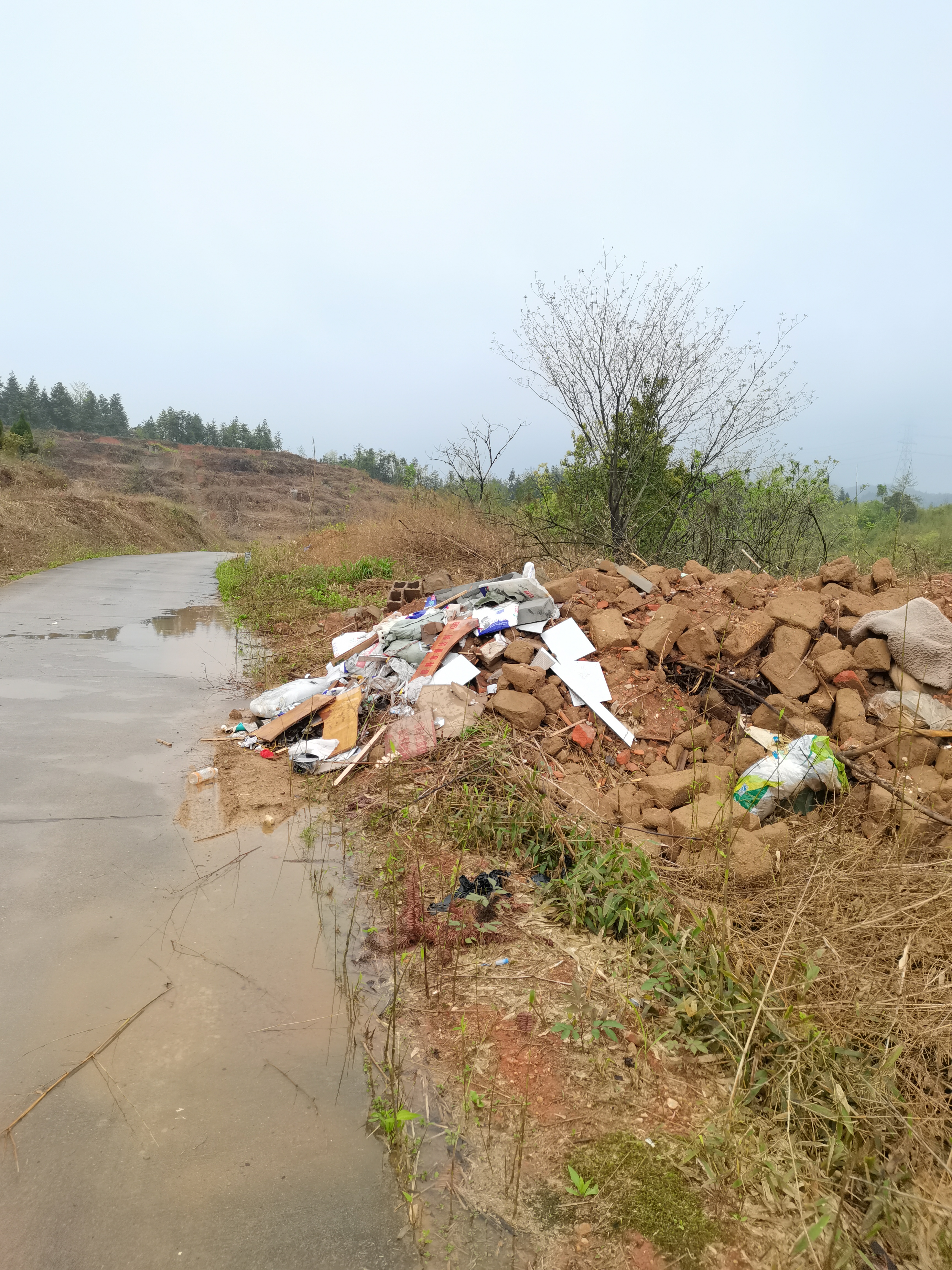 长沙县高桥镇维汉村路边肆意堆放建筑垃圾