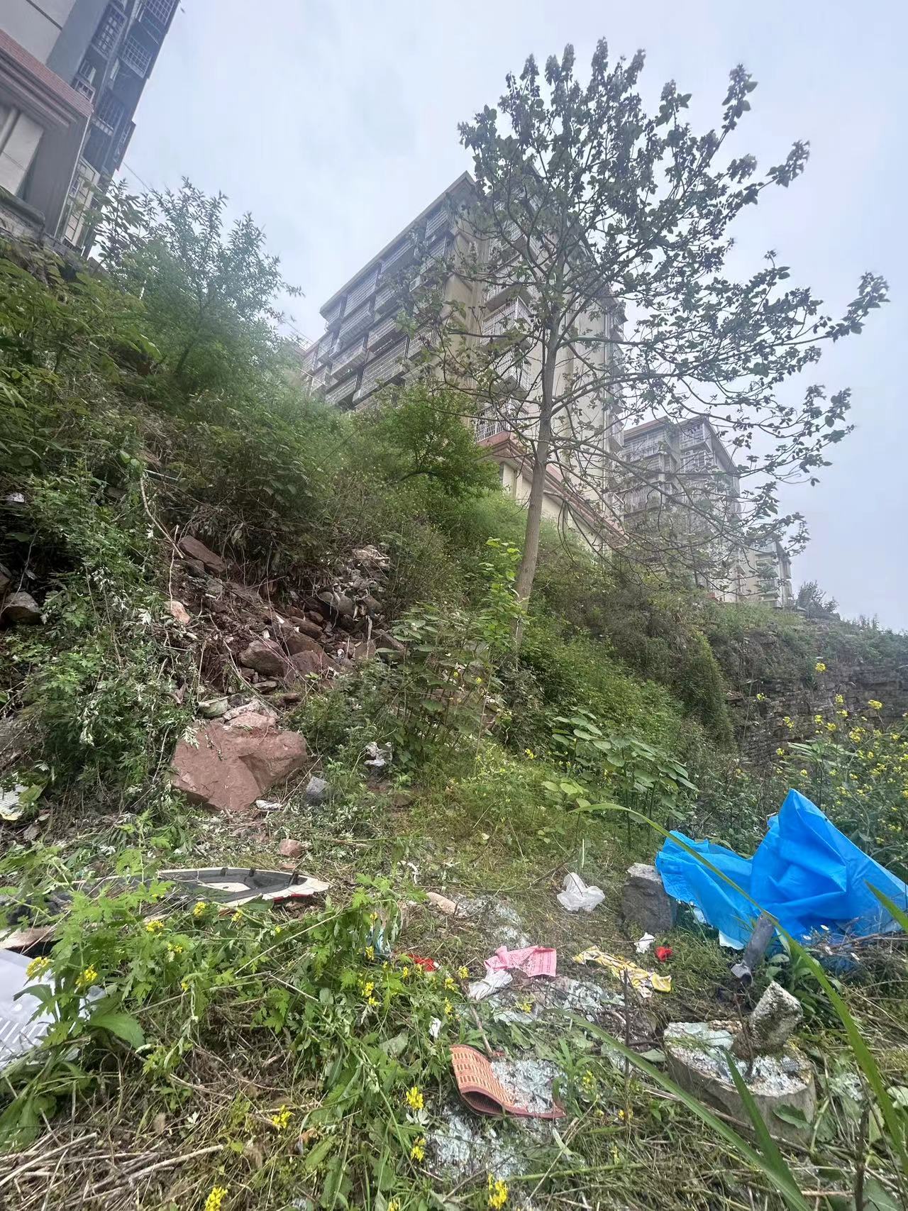 请求人恳请泸溪县人民政府责成相关主管单位尽快对此事件消除隐患