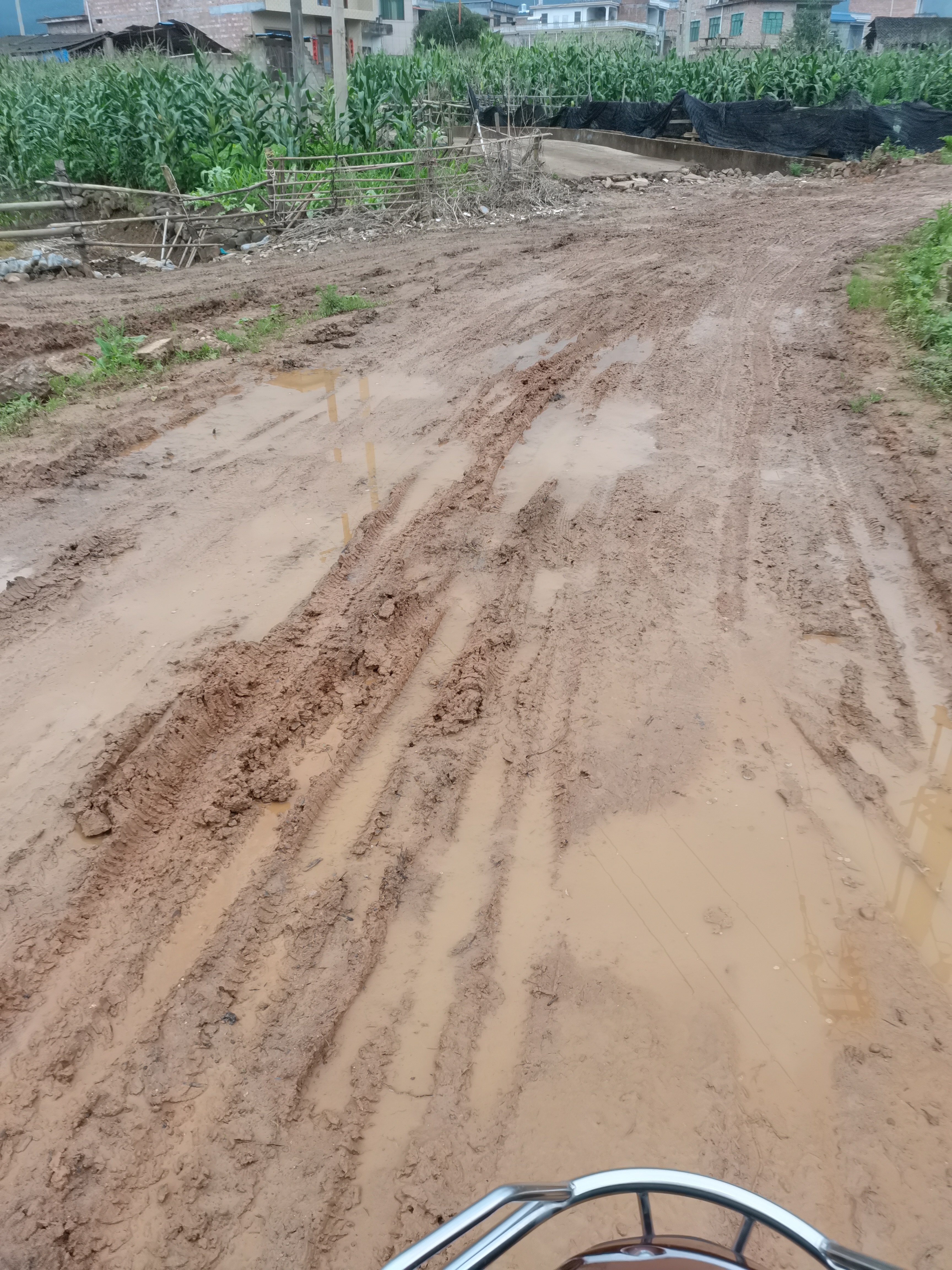 江华小圩乡清塘学校至清塘抬田路段道路泥泞不堪村民务工无法通行