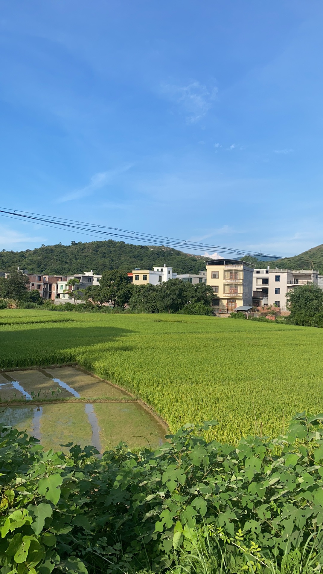 江永县松柏瑶族乡凤田村风力发电影响居民生态环境