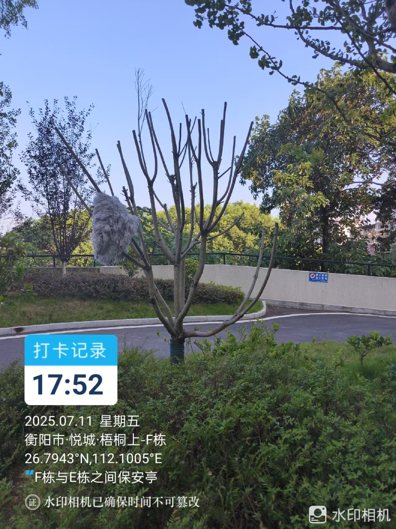 祁东县悦城梧桐上小区业主求助
