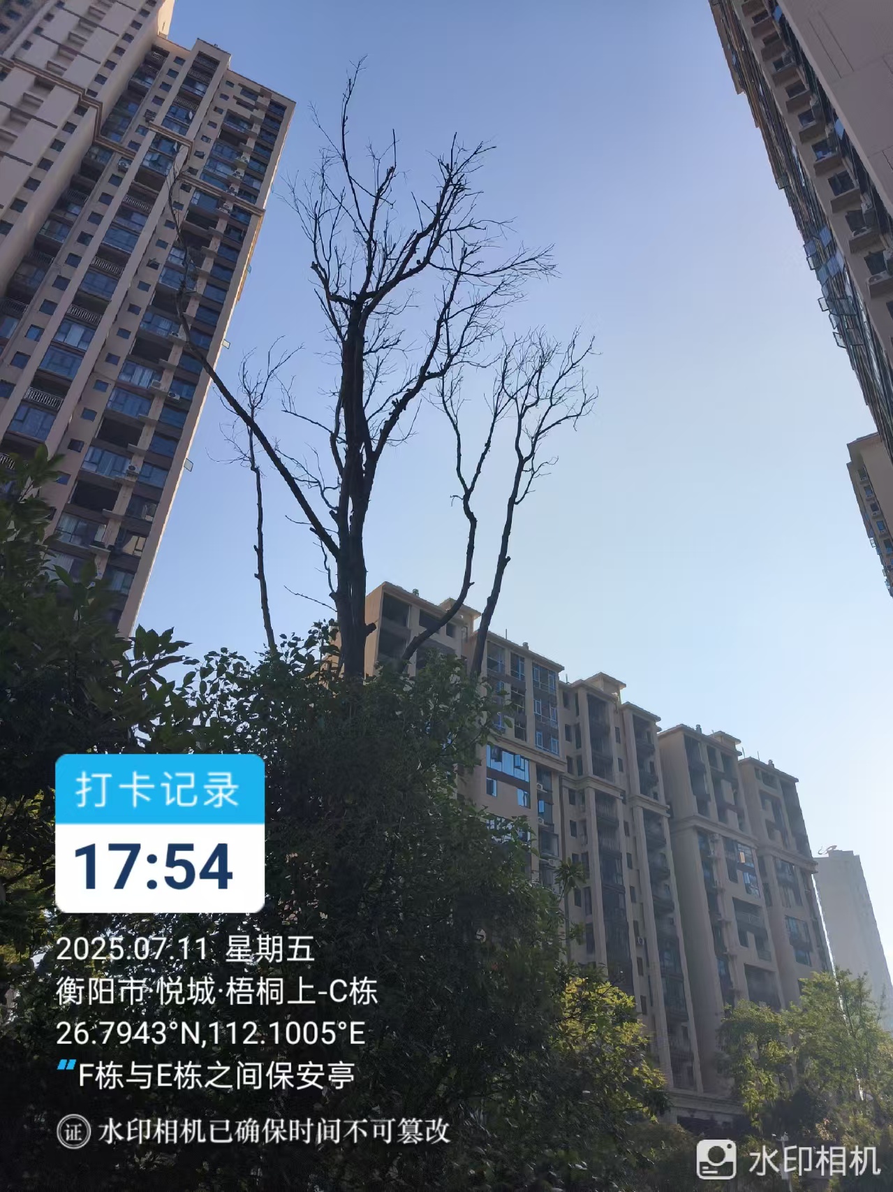 祁东县悦城梧桐上小区业主求助